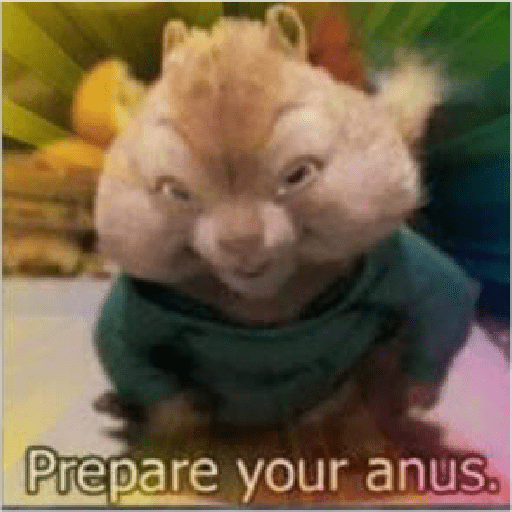 Gatinhokks 8