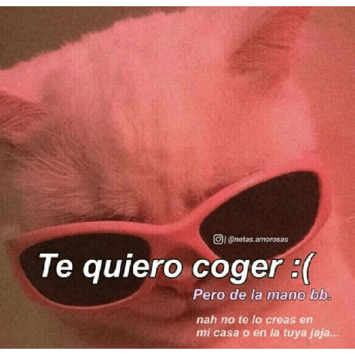 Jsjss 27