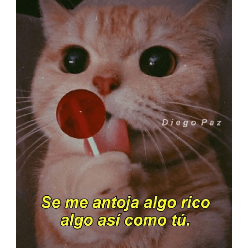 Jsjss 12