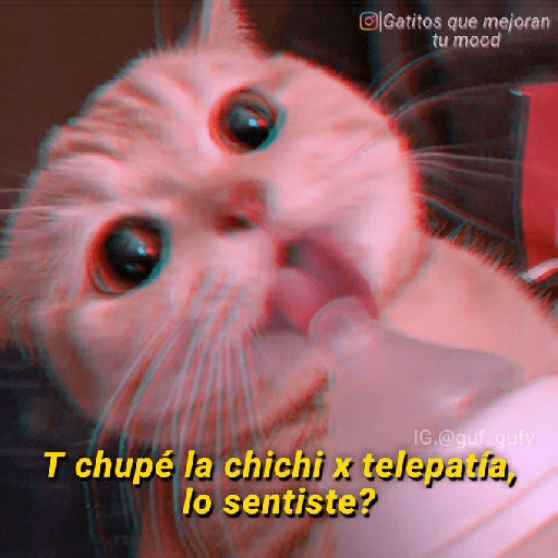 Jsjss 10