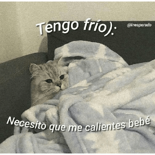 Jsjss 9