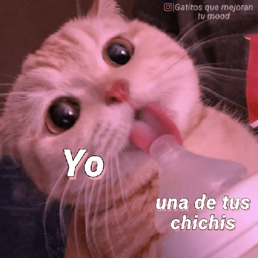 Jsjss