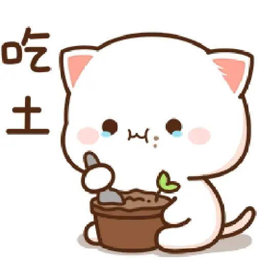 Peach goma 2 3