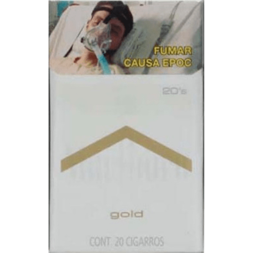 Gordoberto 6