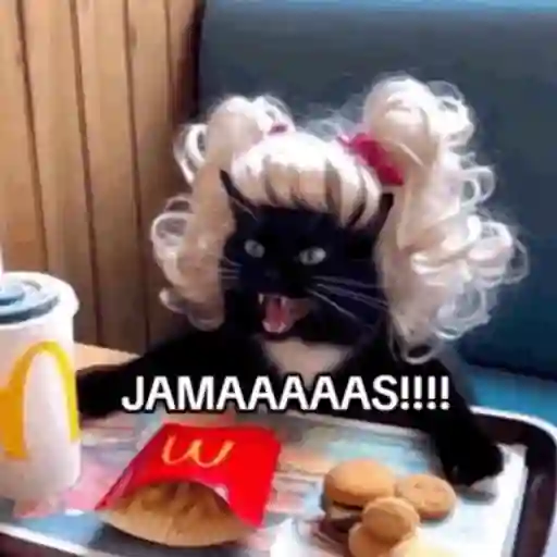 🍟•😡Itati Lopez JAMÁS JAMÁS😡•🍟