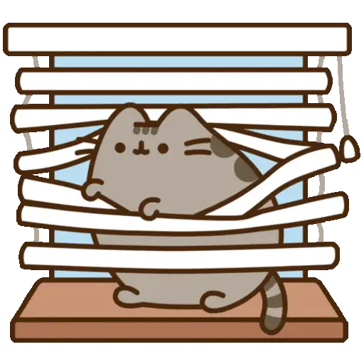 🤎•🐈Pusheen🐈•🤎 3
