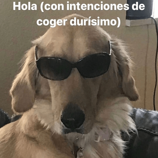 💖•🔥Para Conquistar 4🔥•💖