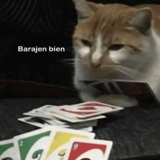 🤎•🐱Michis Random🐱•🤎
