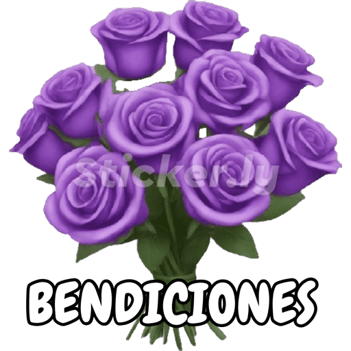 Buenas noches nuevo  28