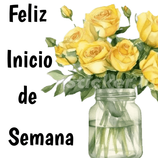 Buenas noches nuevo  18