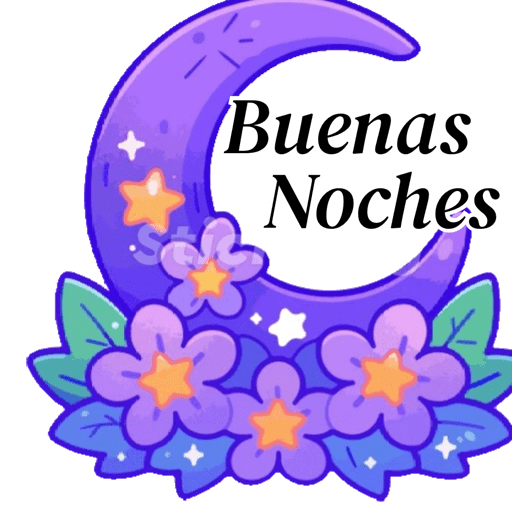 Buenas noches nuevo  12