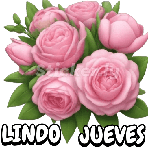 Buenas noches nuevo  29
