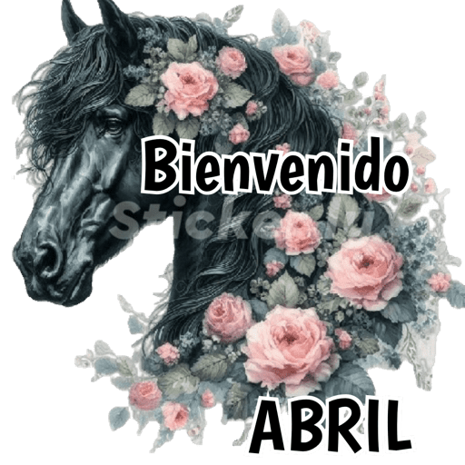 Buenas noches nuevo  20