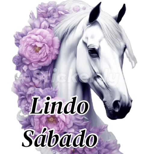 Buenas noches nuevo  15