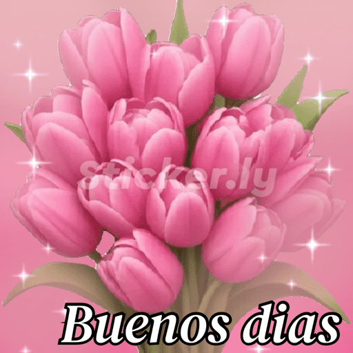Buenas noches nuevo  2