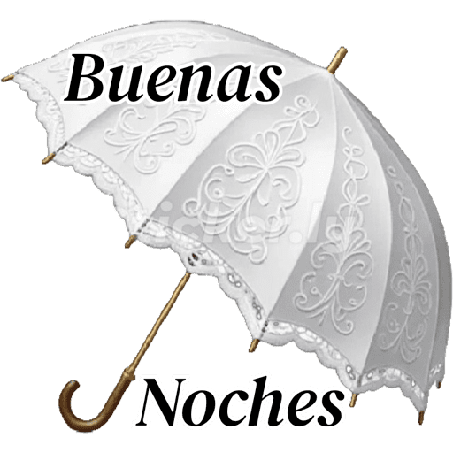 Buenas noches nuevo  11