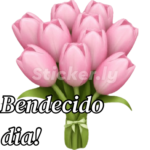 Buenas noches nuevo  4