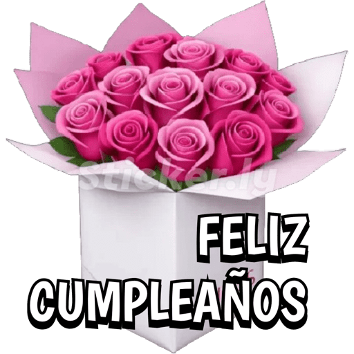 Buenas noches nuevo  7