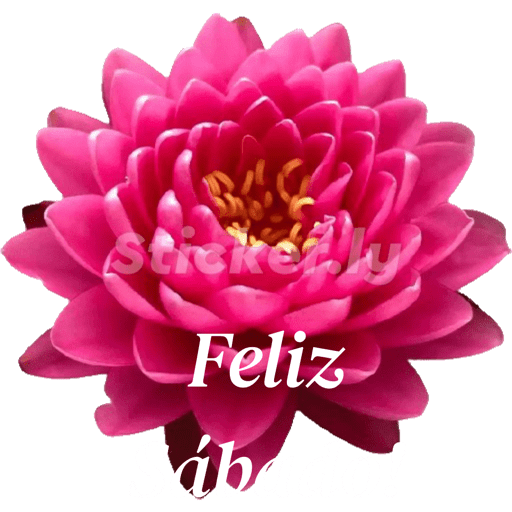 Buenas noches nuevo  8