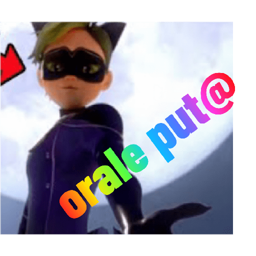 Miraculuos XD 13