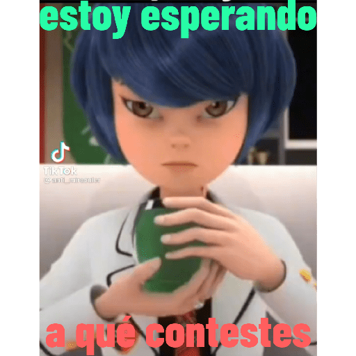 Miraculuos XD 23