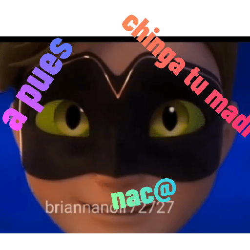 Miraculuos XD 21