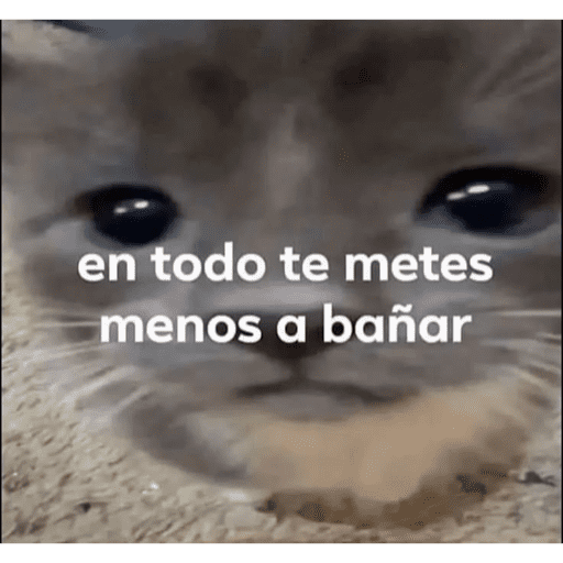 A la cala 2😅
