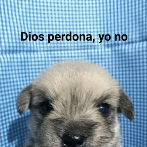 Lo mas raro😅 9