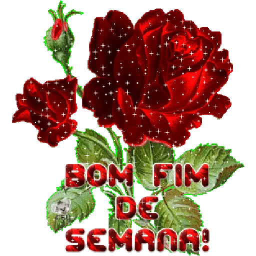 Sticker 11