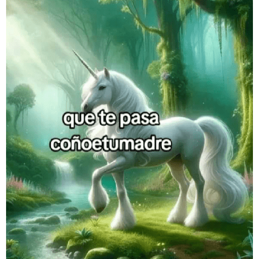 Malandro 5 21