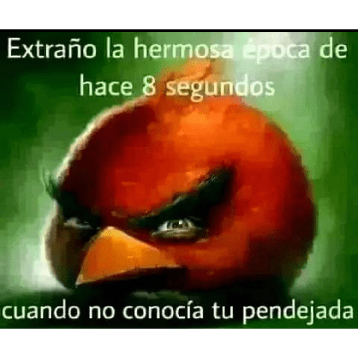 Malandro 5 1