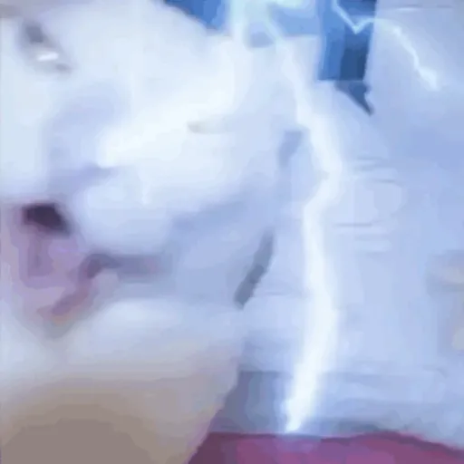 Aaaa 10