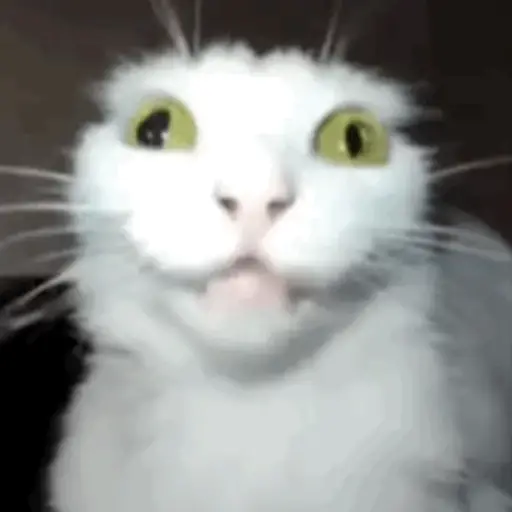 Aaaa 7