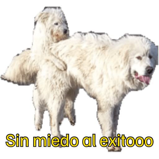 Mis pegatinas