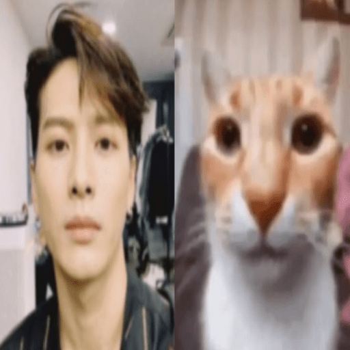 ㅤㅤ⌗ Jackson Wang┆🍙 1