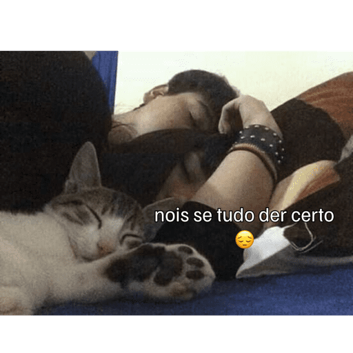 Minhas figurinhas 4