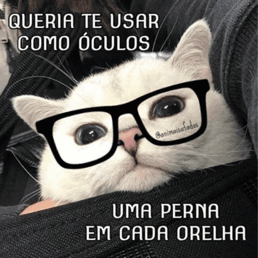 SÓ SAFADEZAS 😏 11