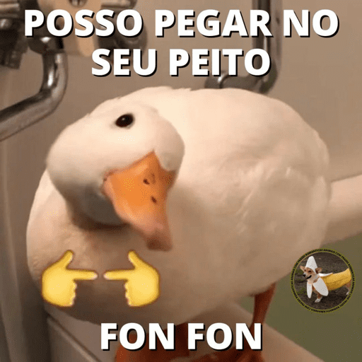 SÓ SAFADEZAS 😏 15