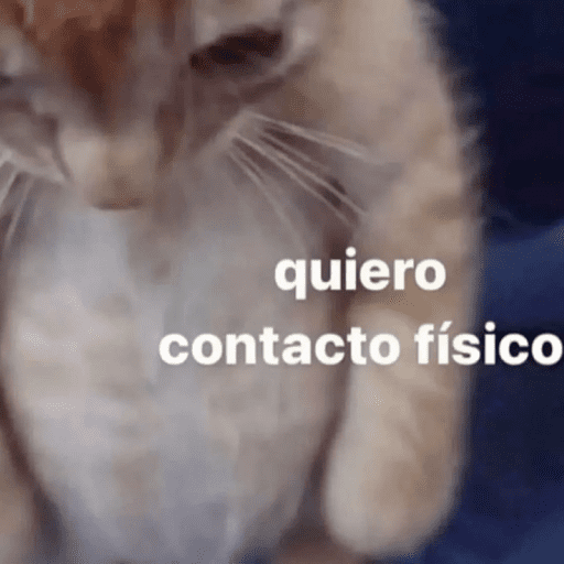 MEIO TARADA, MEIO CARENTE 13