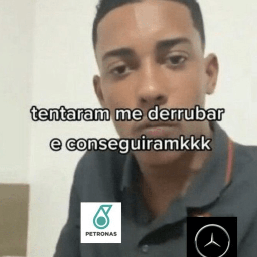 MEMES DE FÓRMULA 1 11