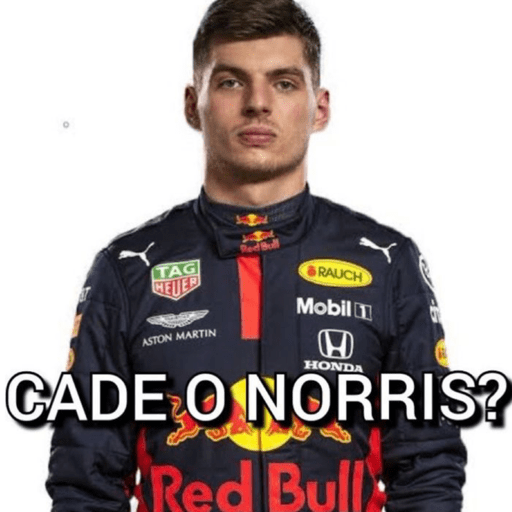 MEMES DE FÓRMULA 1 13