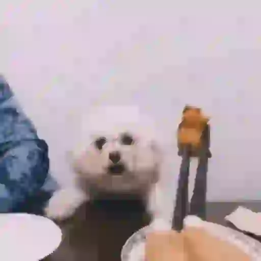 ANIMADAS DO TIKTOK 15