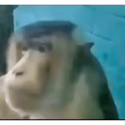 ANIMADAS DO TIKTOK 6