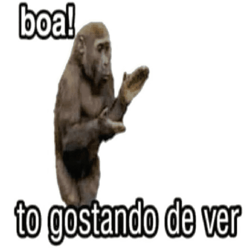 PRA QUEM TEM HUMOR QUEBRADO 🤣 4
