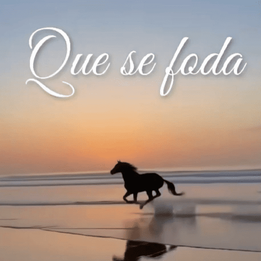 PRA QUEM TEM HUMOR QUEBRADO 🤣 13