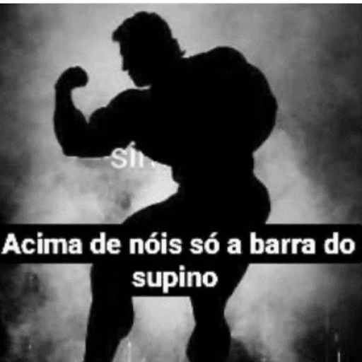 TOP MEMES DE ACADEMIA 3
