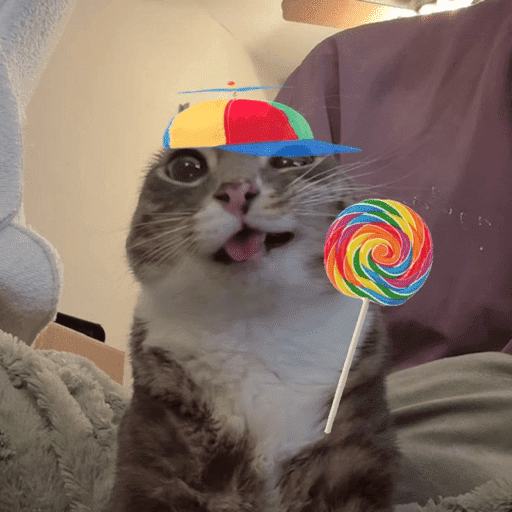 Gatinho tomate + Doguinhos  14