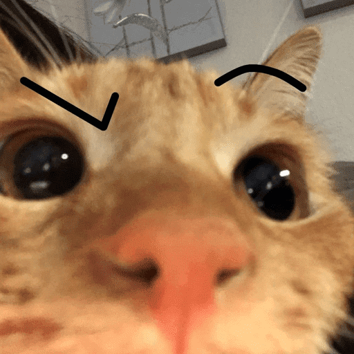 Gatinho tomate + Doguinhos  5