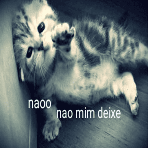 Gatinho tomate + Doguinhos  11