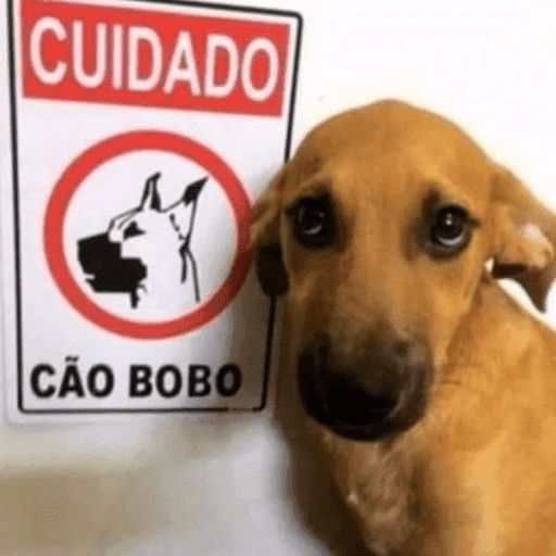 O nome dele é Bob 14